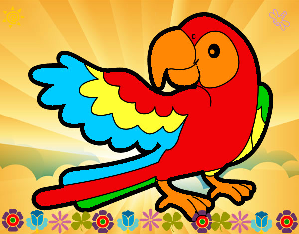 Desenho Papagaio abrir a asa pintado por rejane