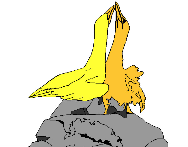 Desenho Patos numa rocha pintado por Jardel508
