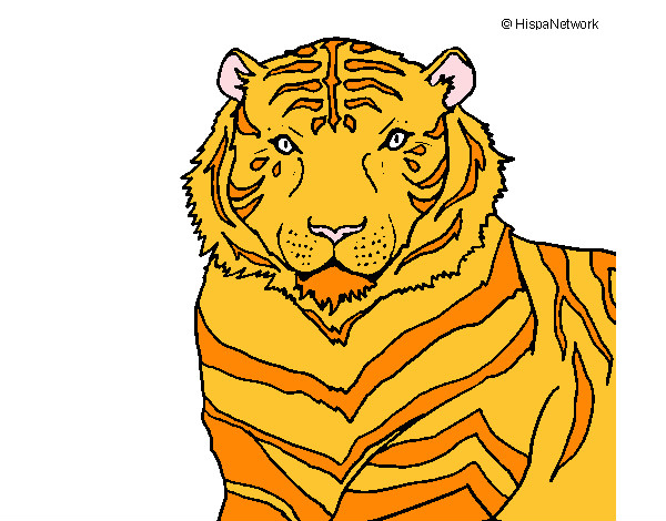 Desenho Tigre pintado por roki