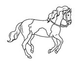 Desenho Cavalo 5 pintado por luisatrigo