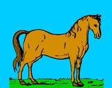 Desenho Cavalo andaluz pintado por masque1