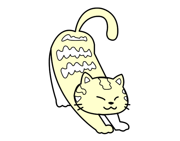 Desenho Gato vadio pintado por luisatrigo