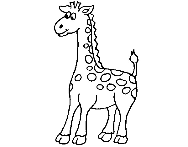 Desenho Girafa 4 pintado por luisatrigo