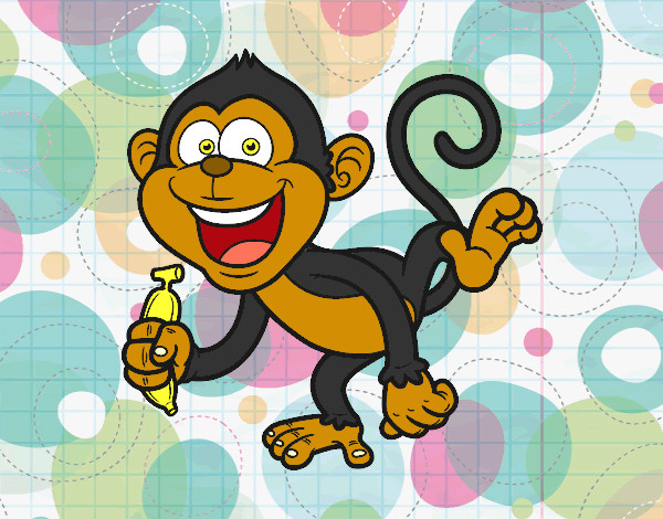 Macaco-prego