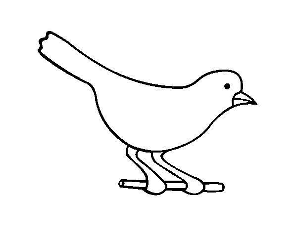 Desenho Pássaro 4 pintado por luisatrigo