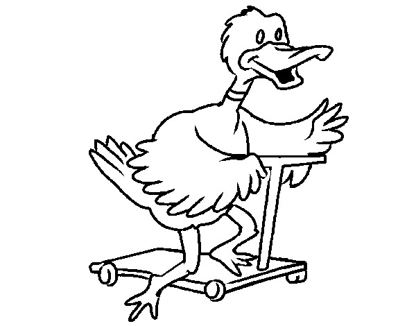 Desenho Pato em patins pintado por luisatrigo