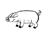 Desenho Porco com cascos negros pintado por luisatrigo