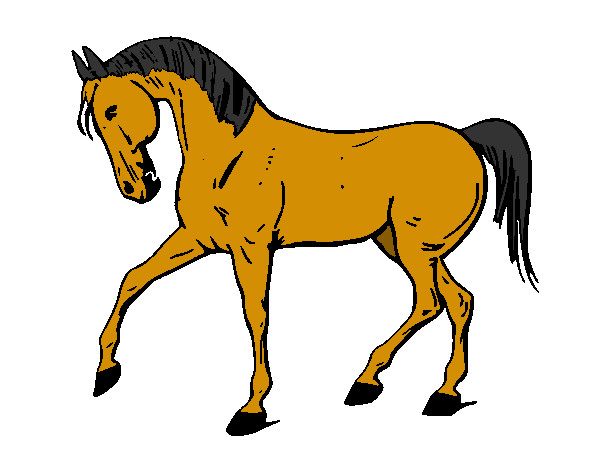 Desenho Cavalo com a pata levantada pintado por phablo