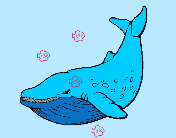 Desenho Orca pintado por fabiof