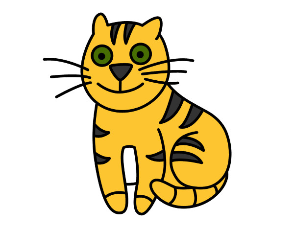 Desenho Gato simpático pintado por joaoarthur