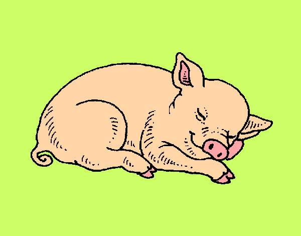 Desenho Porco a dormir pintado por Daph