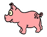 Desenho Porco pintado por glni