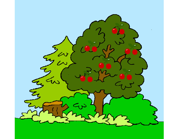 Desenho Bosque pintado por mariav