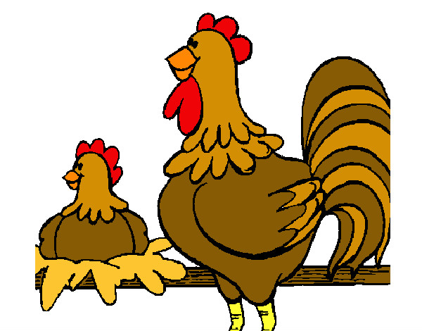 Desenho Galo e galinha pintado por mariav