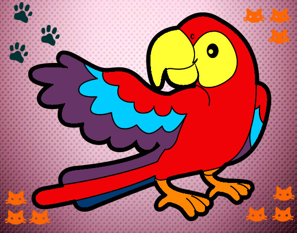 Desenho Papagaio abrir a asa pintado por lucasmc