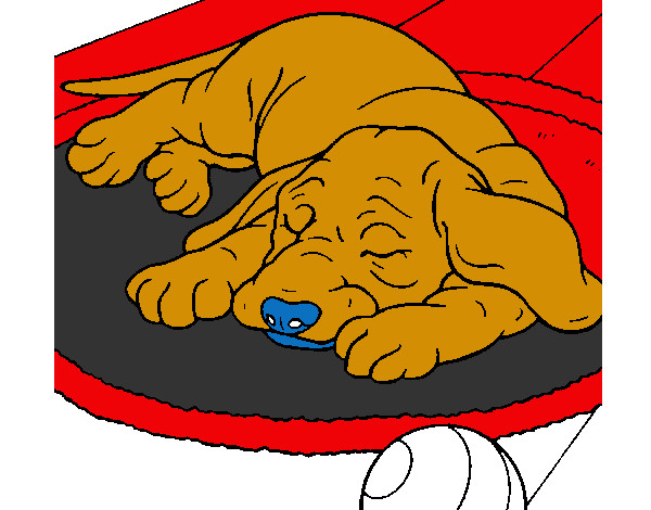 Desenho Cão a dormir pintado por luamcc