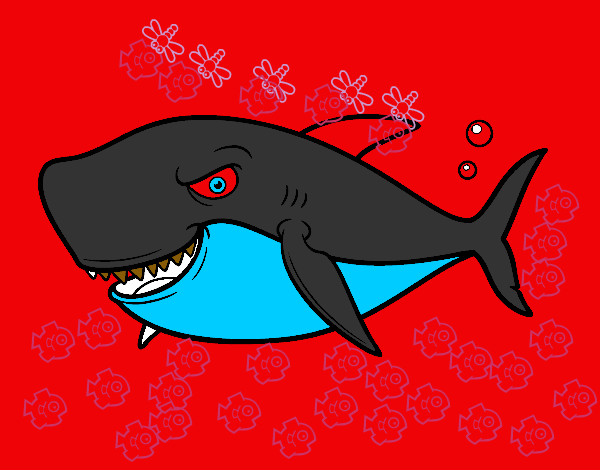 Desenho Tubarão dentuço pintado por luamcc