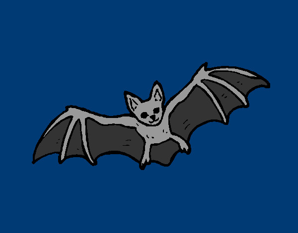 Desenho Morcego a voar pintado por Zangerolam