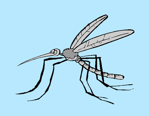 Desenho Mosquito pintado por Zangerolam