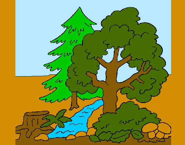 Desenho Bosque pintado por FELIX
