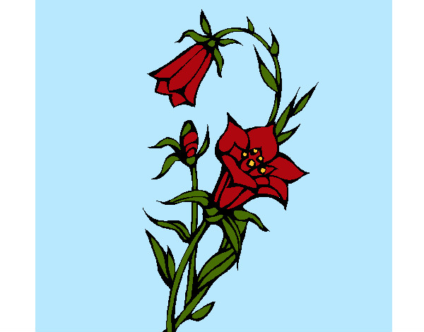 Desenho Flores silvestres pintado por FELIX