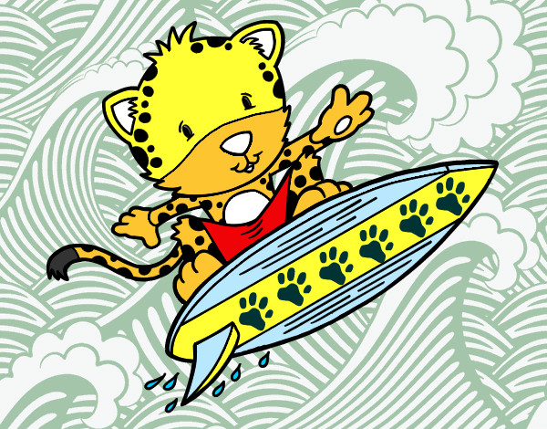 guepardo surfista