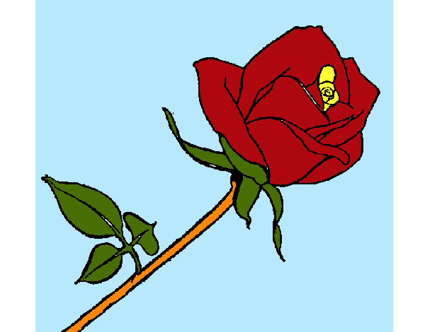 Desenho Rosa pintado por FELIX
