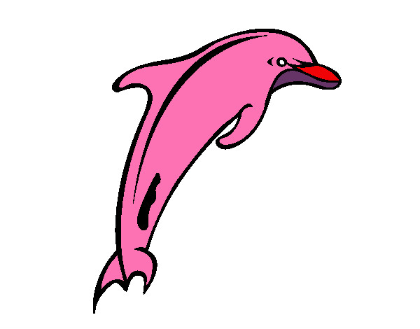 Desenho Adulto golfinho pintado por ketlyn123