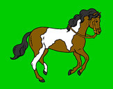 Desenho Cavalo 5 pintado por AdiJosue