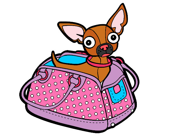 Desenho Chihuahua de viagem pintado por Louanna
