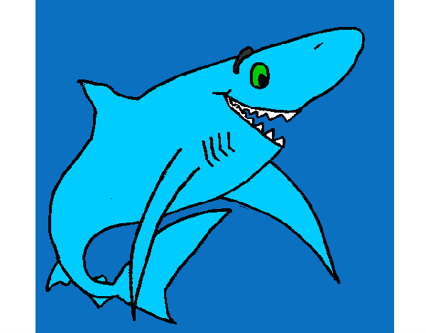 Desenho Tiburão alegre pintado por natysantos