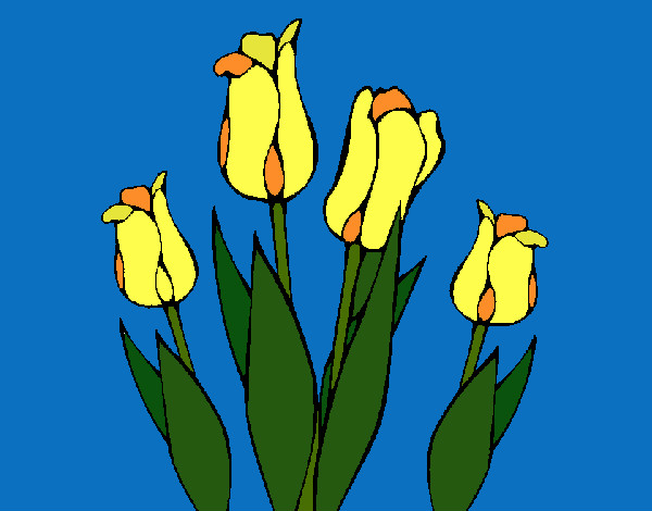 Desenho Tulipa pintado por RegisAssun