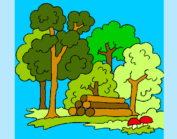 Desenho Bosque pintado por jeubiel