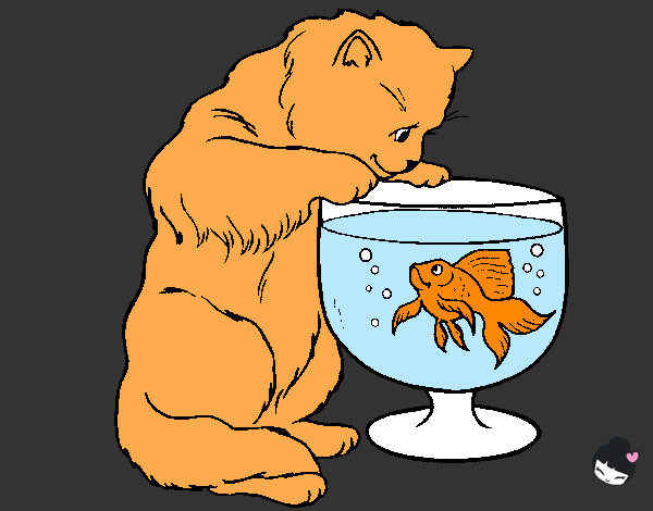 Desenho Gato a olhar para o peixe pintado por Scarllet