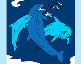 Desenho Golfinhos a brincar pintado por EnderLu