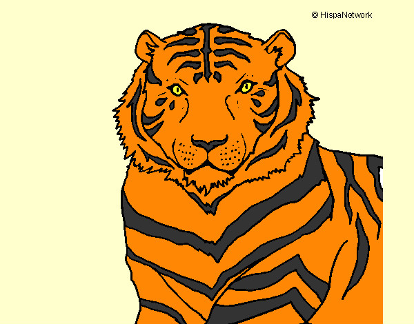 Desenho Tigre pintado por mica