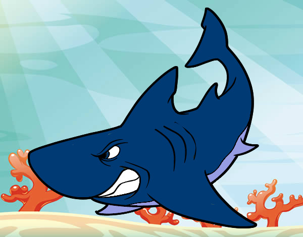 Desenho Tubarão furioso pintado por EnderLu