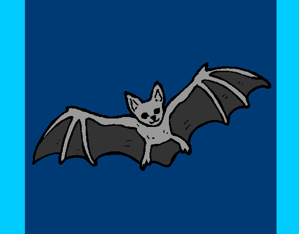 Desenho Morcego a voar pintado por lansttai