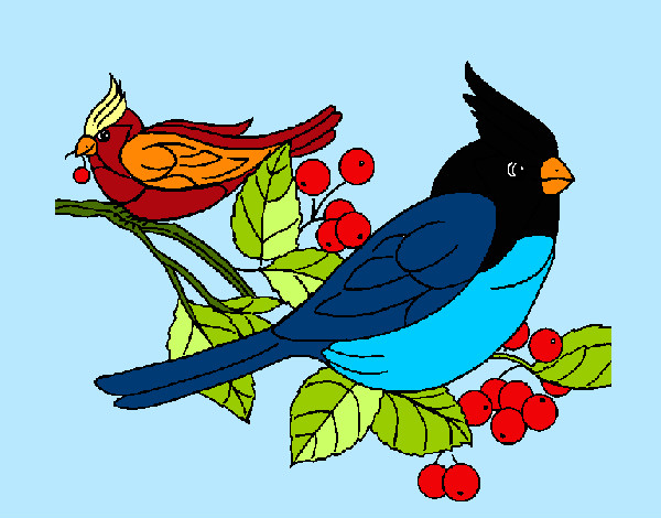 Desenho Pássaros pintado por NDuenha