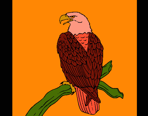 Desenho Águia num ramo pintado por missmirim