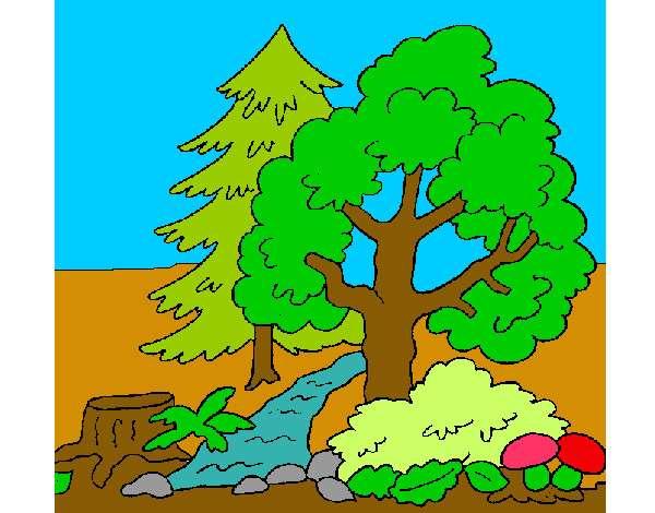 Desenho Bosque pintado por BerMaia