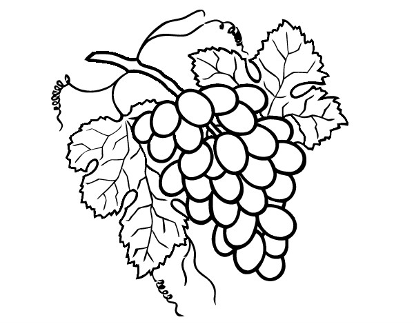 Desenho Cacho de uvas pintado por RIKARDO