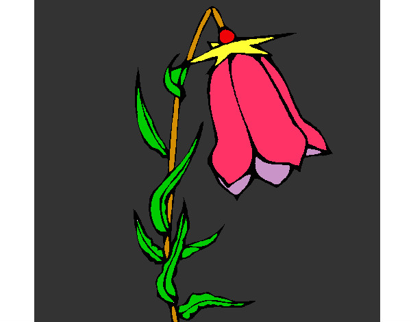 Desenho Flor silvestre pintado por lulima