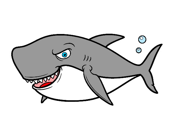 Desenhos de Tubarão - Como desenhar um Tubarão passo a passo