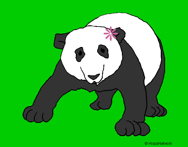Desenho Urso panda pintado por pipoca