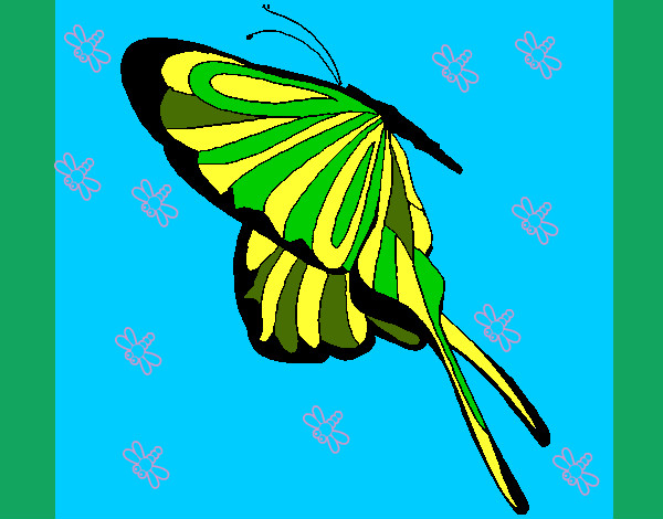 Desenho Borboleta com grandes asas pintado por haras 