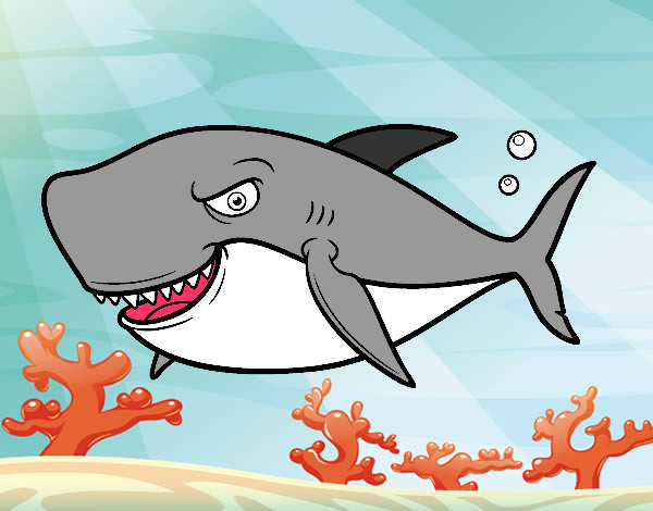 Desenho Tubarão dentuço pintado por Dayannes