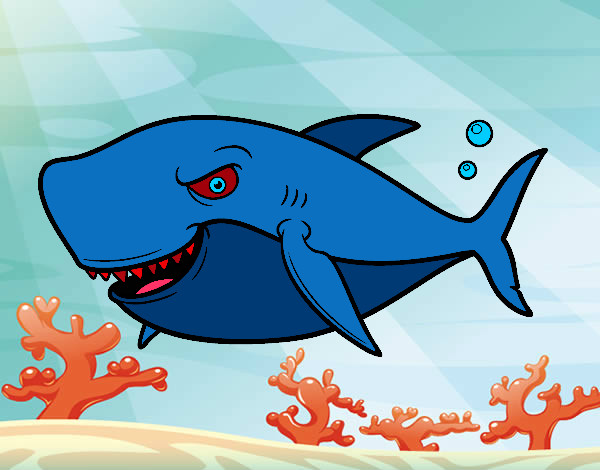 Desenho Tubarão dentuço pintado por jhonatan9