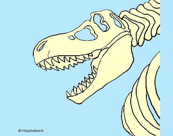 Desenho Esqueleto tiranossauro rex pintado por LEONARDOK
