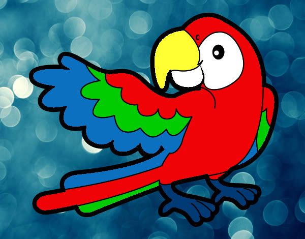 Desenho Papagaio abrir a asa pintado por luce